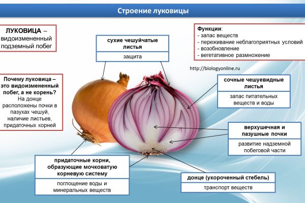 Кракен не заходит